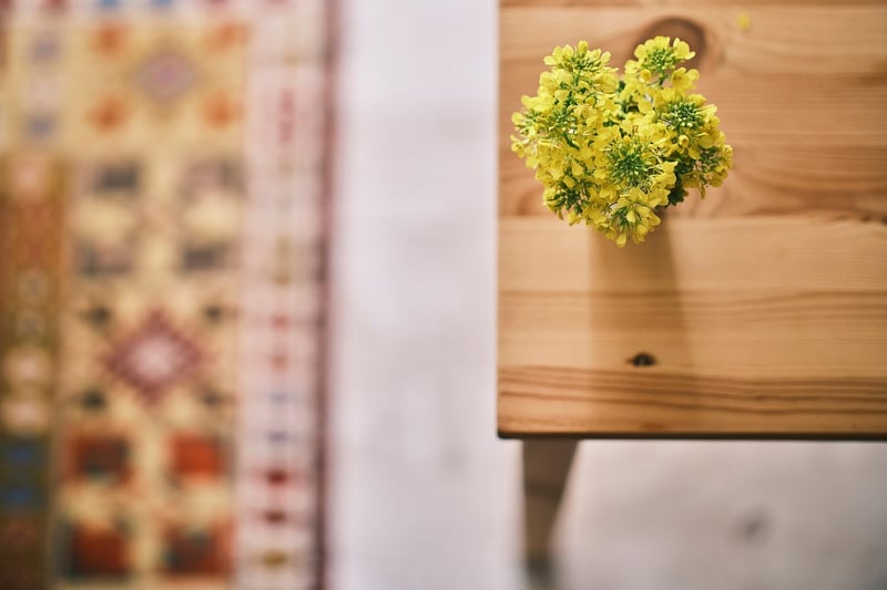 Dreamy Botanical Decor